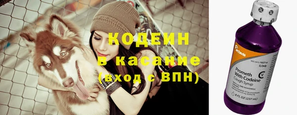 СК Мегион