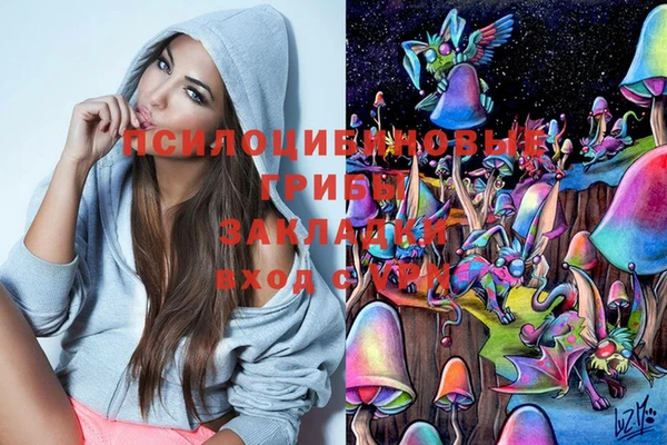 наркотики Медвежьегорск