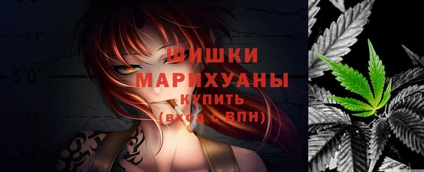 СК Мегион