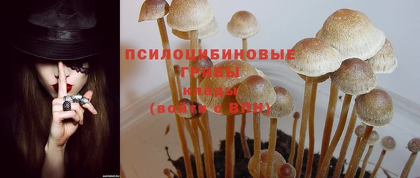 наркотики Медвежьегорск