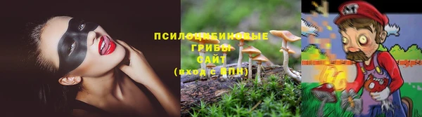 соль ск Медногорск
