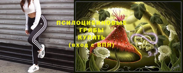 СК Мегион