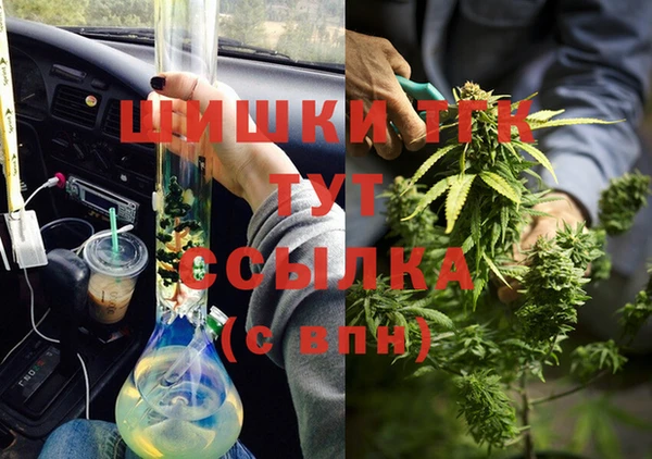 СК Мегион